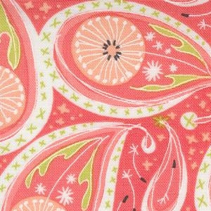 M48753 15 Paisley on Coral