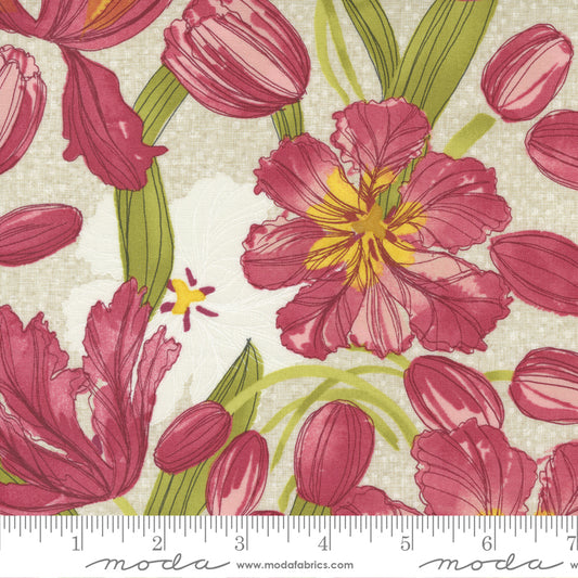 M48710 11 Tulips on Cream