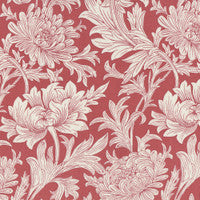 PW WM080 Chrysanthemum in Coral